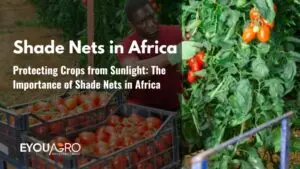 shade nets africa