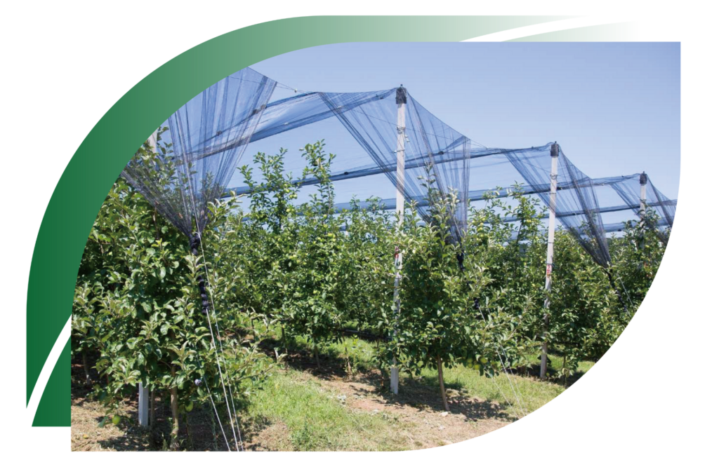 eyouagro agrotextile banner 1