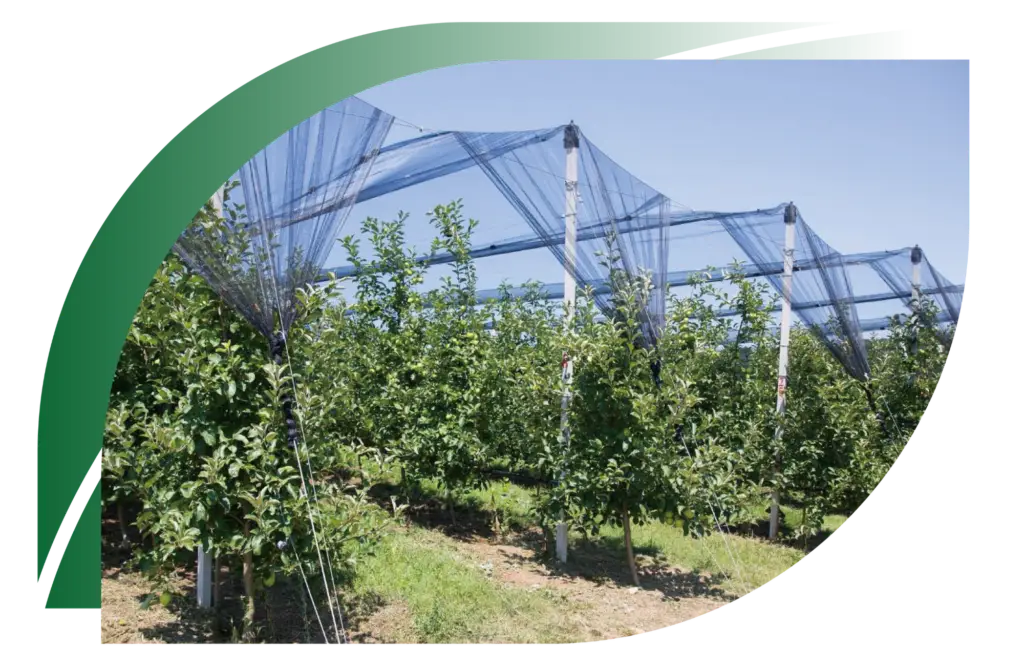 eyouagro agrotextile banner 1