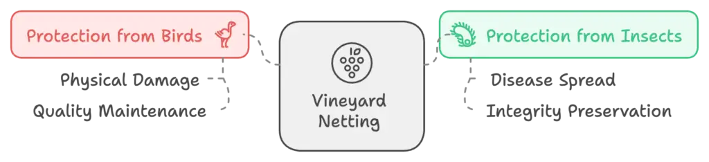 protect grapes from pests