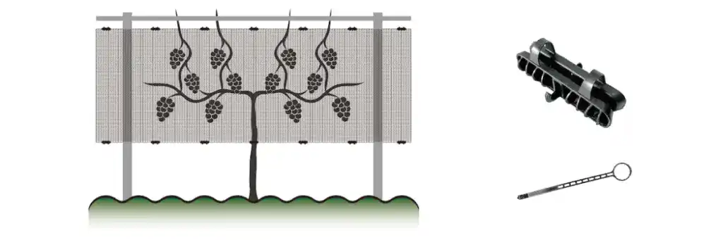 vineyard side netting installation 2