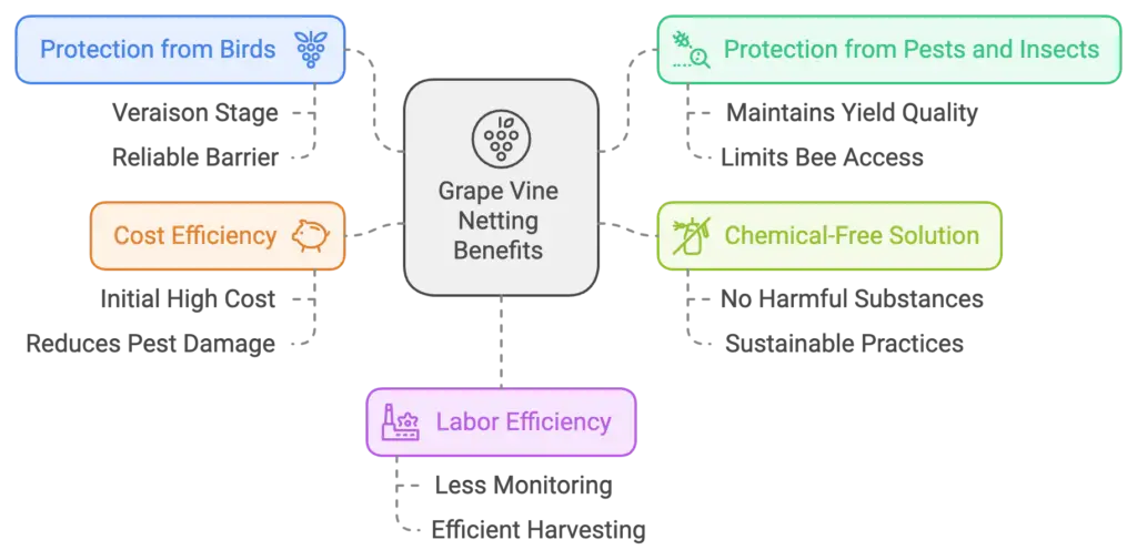 benefit of vineyard netting