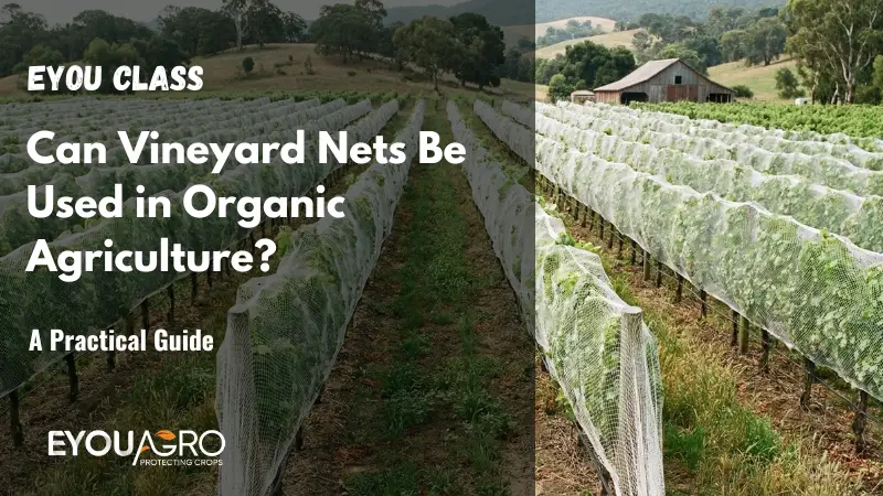 organic vineyard netting