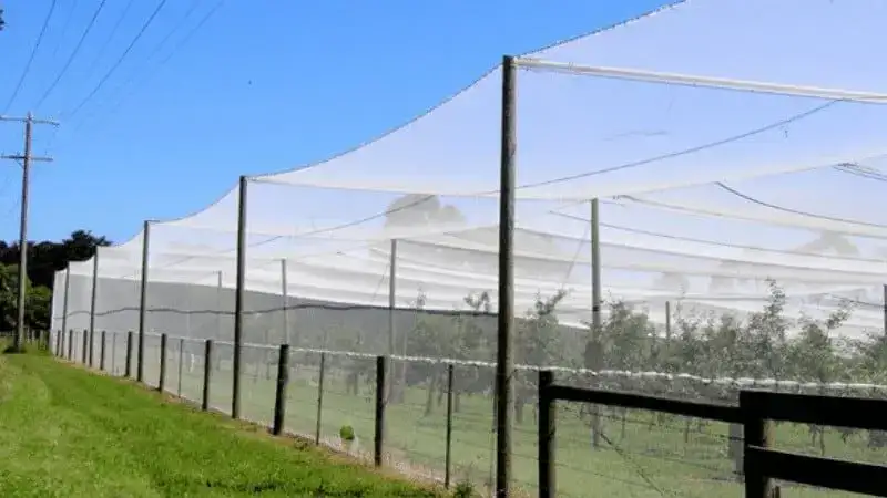 bovengronds vogelnet