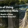 vineyard net (3)