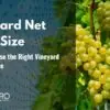 vineyard net (4)