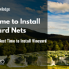 When is the Best Time to Install Vineyard Nets?