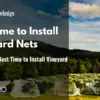 When is the Best Time to Install Vineyard Nets?