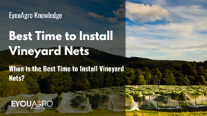 When is the Best Time to Install Vineyard Nets?