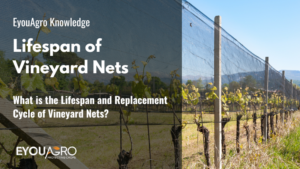 vineyard net life span