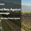 Can Vineyard Nets Help Protect Against Wind Damage?