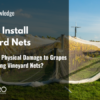 How to Avoid Physical Damage to Grapes When Installing Vineyard Nets?