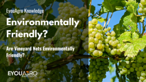 Are Vineyard Nets Environmentally Friendly?