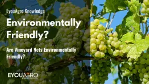 Are Vineyard Nets Environmentally Friendly?