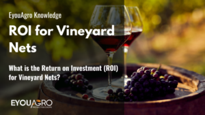 What is the Return on Investment (ROI) for Vineyard Nets?