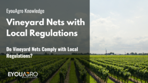 Do Vineyard Nets Comply with Local Regulations?