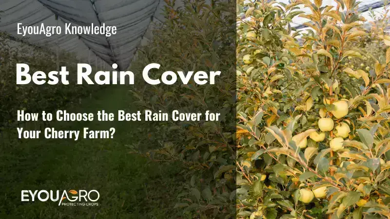 Fotos de la película