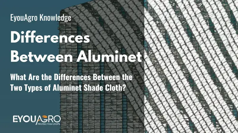 Quelles sont les différences entre les deux types de toile d'ombrage Aluminet ?