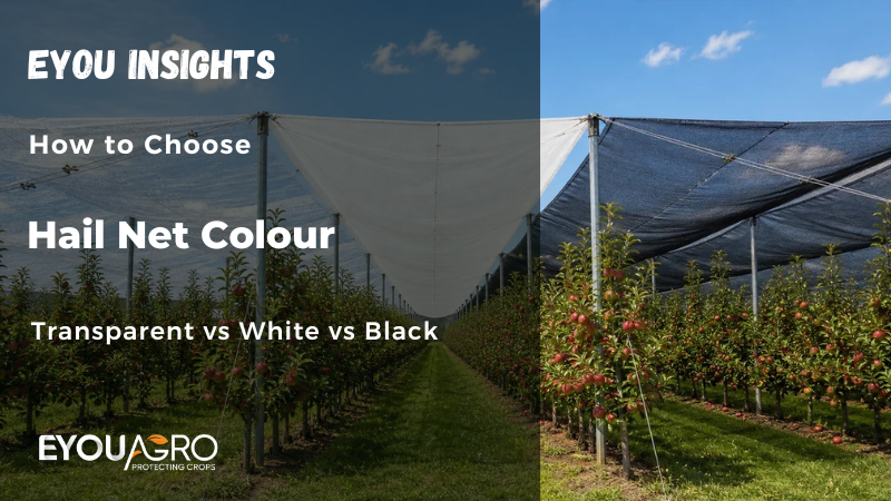 hail netting color