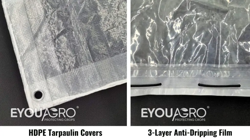 pe tarpaulin vs anti dripping film comparison