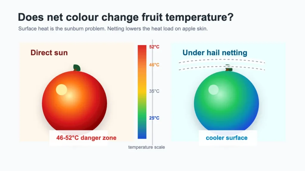d1 hail net colour img 03 thermal comparison 1200x675