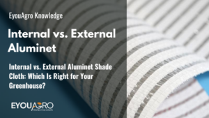 Internal vs. External Aluminet