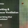 How Does Insect Netting Affect Greenhouse Ventilation?