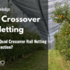 Why Choose Quad Crossover Hail Netting for Crop Protection?