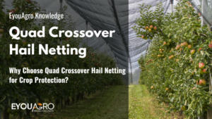 Why Choose Quad Crossover Hail Netting for Crop Protection?