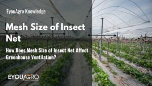 How Does Mesh Size of Insect Net Affect Greenhouse Ventilation?