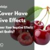 Does Rain Cover Have Negative Effects on Cherry Fruit Quality?