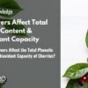 Why Do Rain Covers Affect the Total Phenolic Content and Antioxidant Capacity of Cherries?