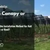 How to Choose the Installation Method for Hail Netting: Canopy or Roof?