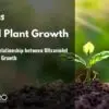 The Intricate Relationship between Ultraviolet Light and Plant Growth