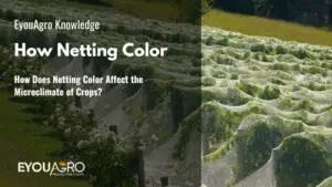 How Does Netting Color Affect the Microclimate of Crops?