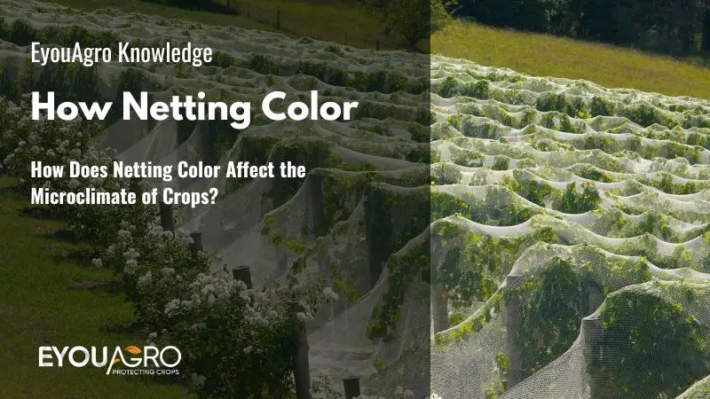 How Does Netting Color Affect the Microclimate of Crops?