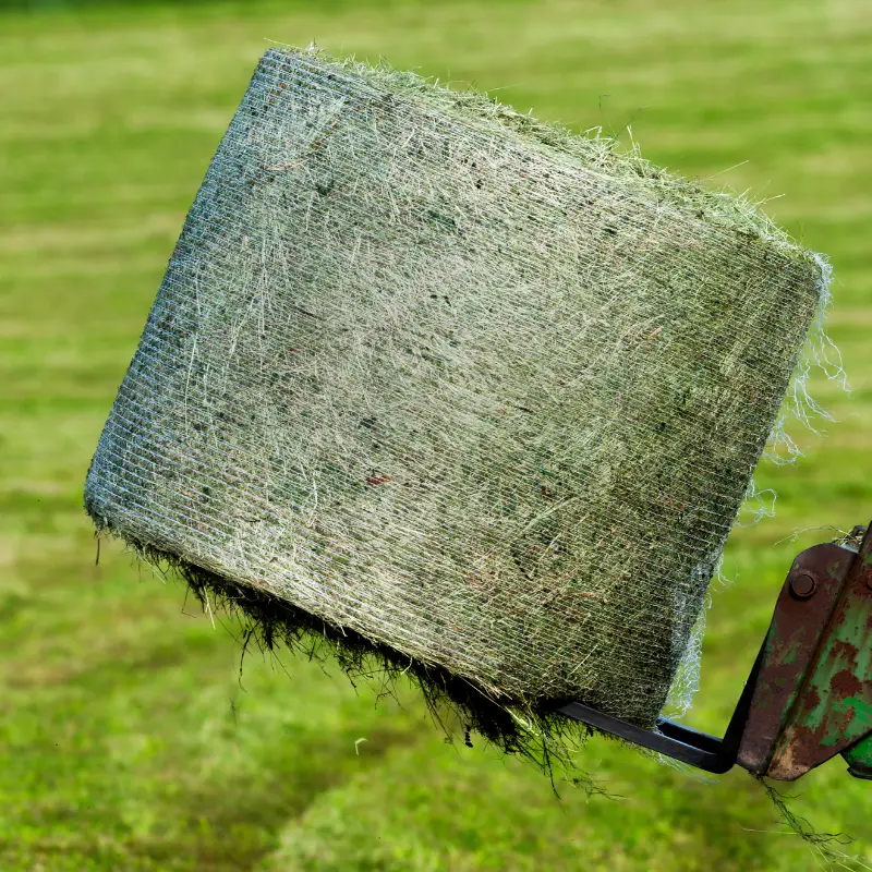A perfectly formed hay bale tightly secured with EyouAgro's premium bale net wrap on a ranch.