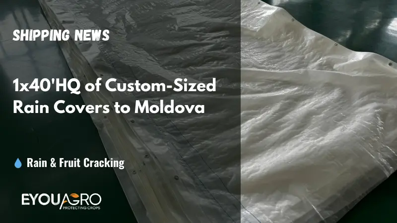 shipping new custom sized rain covers to moldova