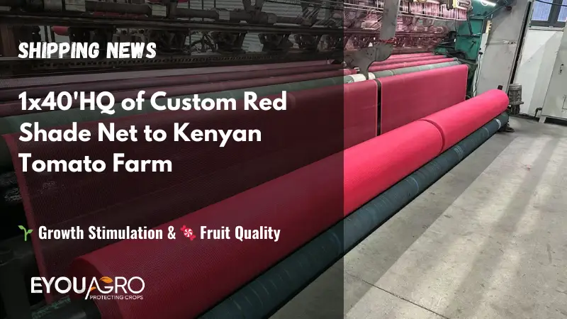 shipping new red shade net to kenyan tomato farm