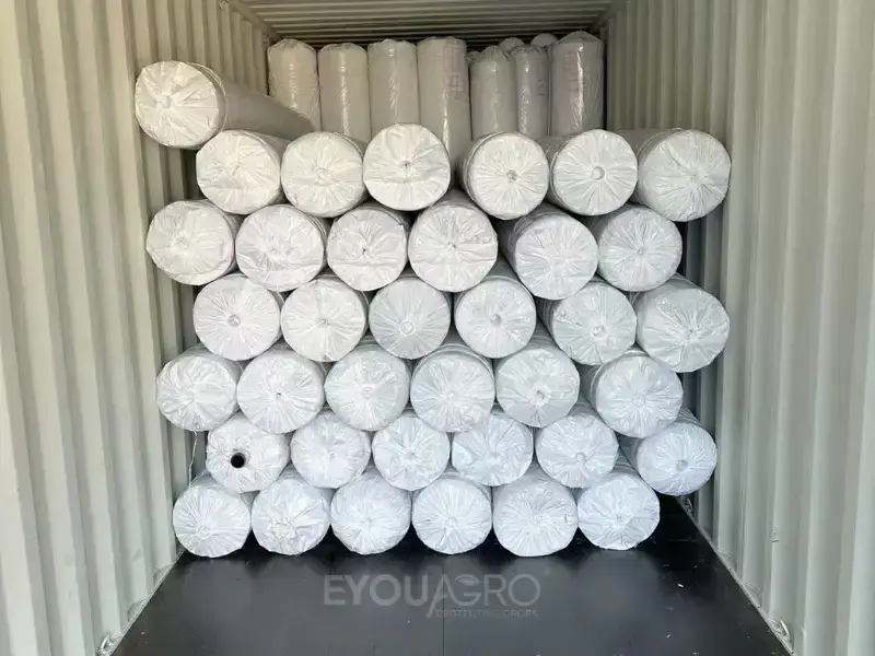The EyouAgro team loading rolls of silver shade netting into a 40'HQ container destined for Kenya.