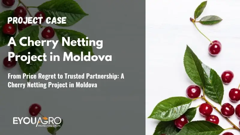 From Price Regret to Trusted Partnership: A Cherry Netting Project in Moldova