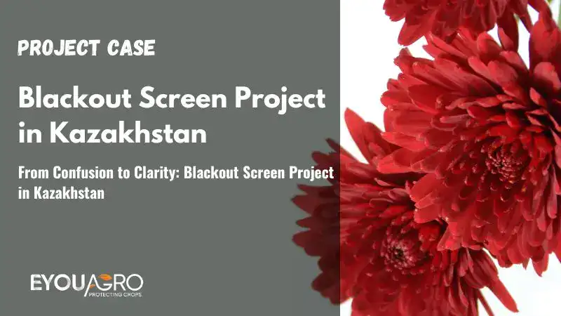 A zűrzavartól a tisztánlátásig: Sötétítő képernyő projekt Kazahsztánban