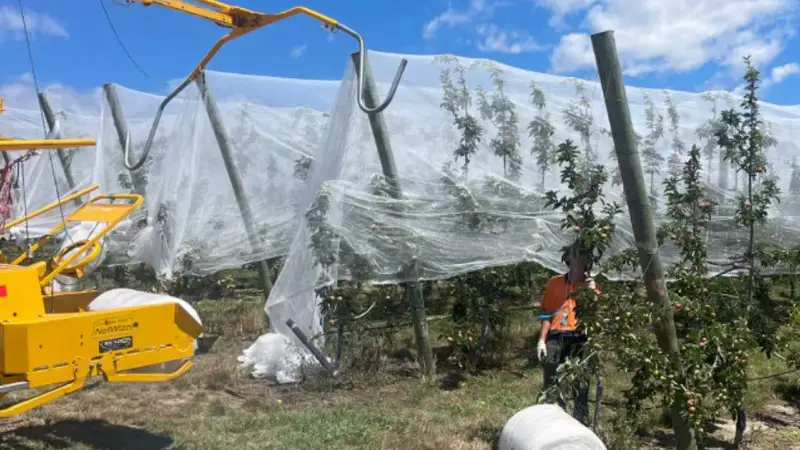 drape netting