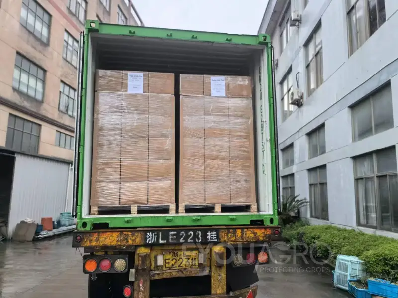 Large boxes filled with 2.7 million Shade Cloth Pins ready to be loaded into a container.
