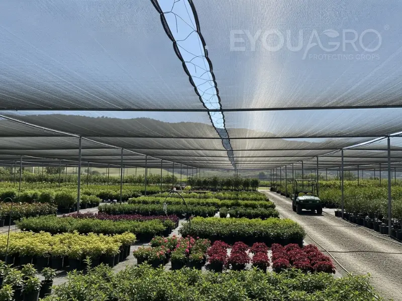 A large plant nursery covered by shade netting, with visible seams created by Shade Cloth Pins.