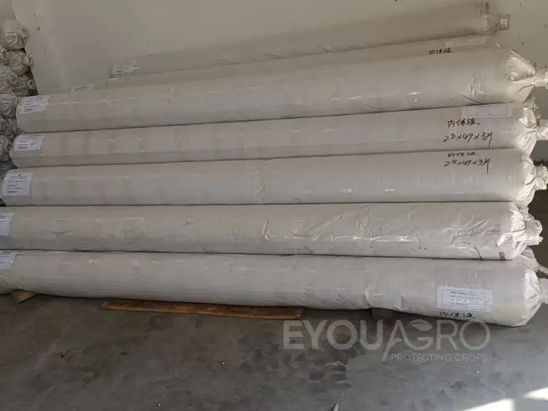 The EyouAgro team loading rolls of Aluminet screen into a 20'GP container for Sri Lanka.