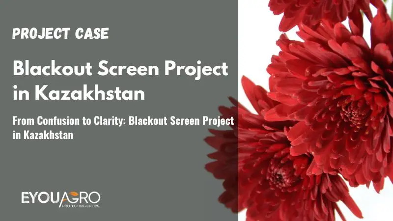 From Confusion to Clarity: Blackout Screen Project in Kazakhstan