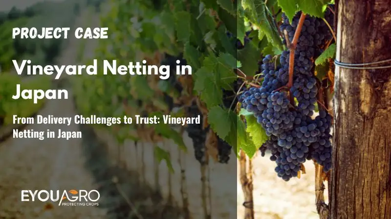 From Delivery Challenges to Trust: Vineyard Netting in Japan