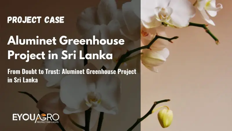 From Doubt to Trust: Aluminet Greenhouse Project in Sri Lanka