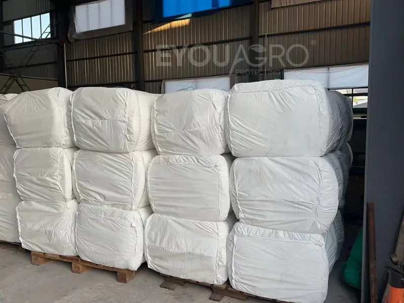 the eyouagro team loading rolls of black quad crossover net into a 40'hq container for chile.